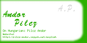 andor pilcz business card